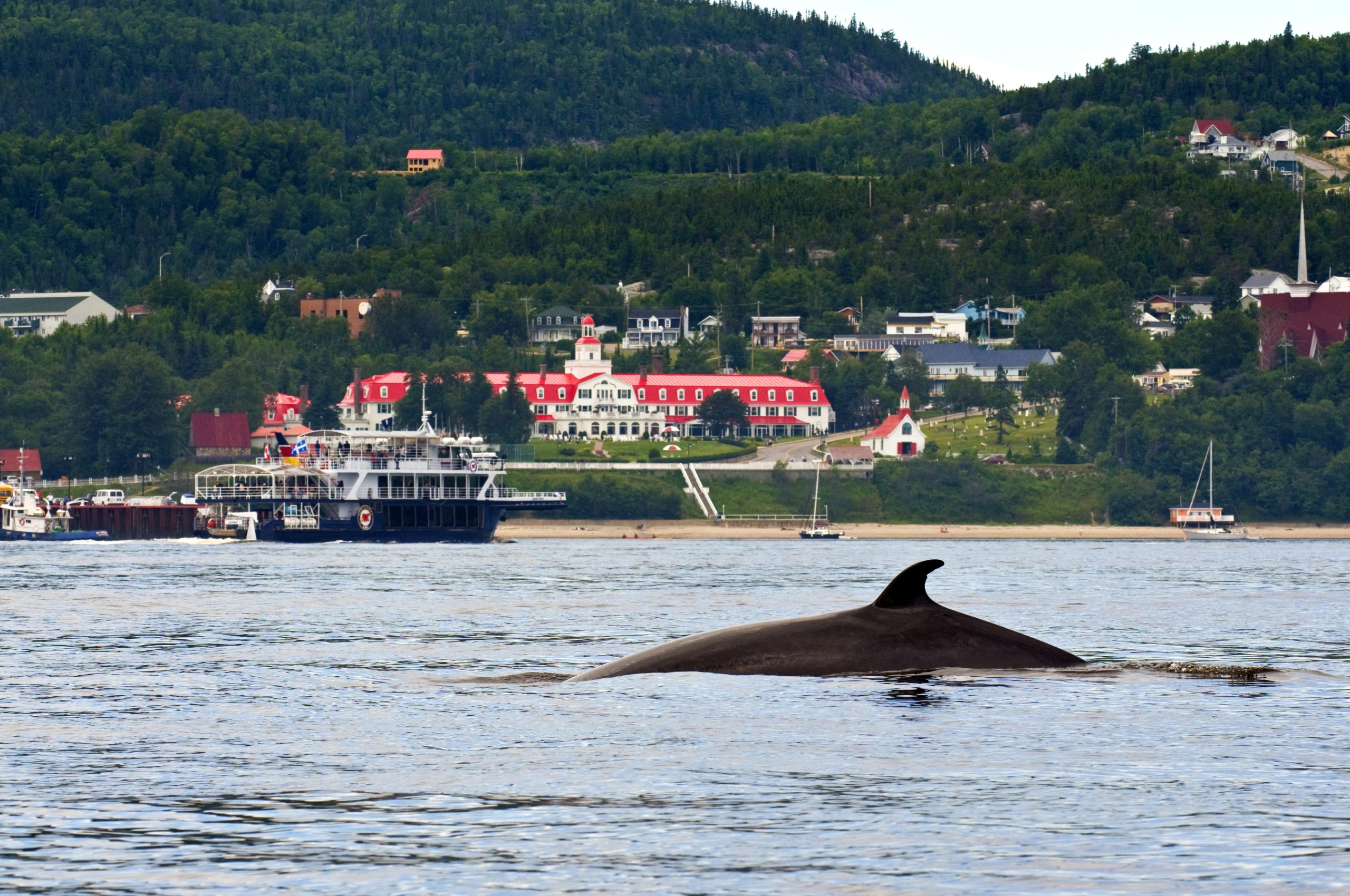 Tadoussac: the most beautiful village in Quebec