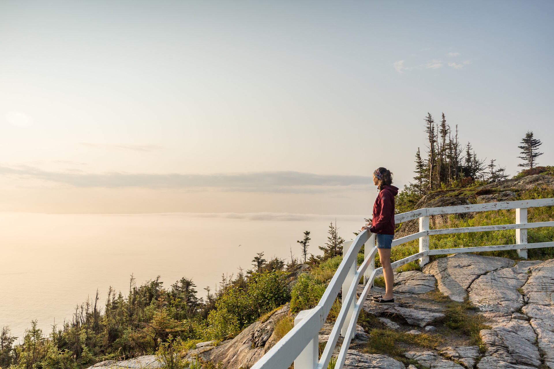 Parc marin du Saguenay–Saint-Laurent Parc marin du Saguenay–Saint-Laurent