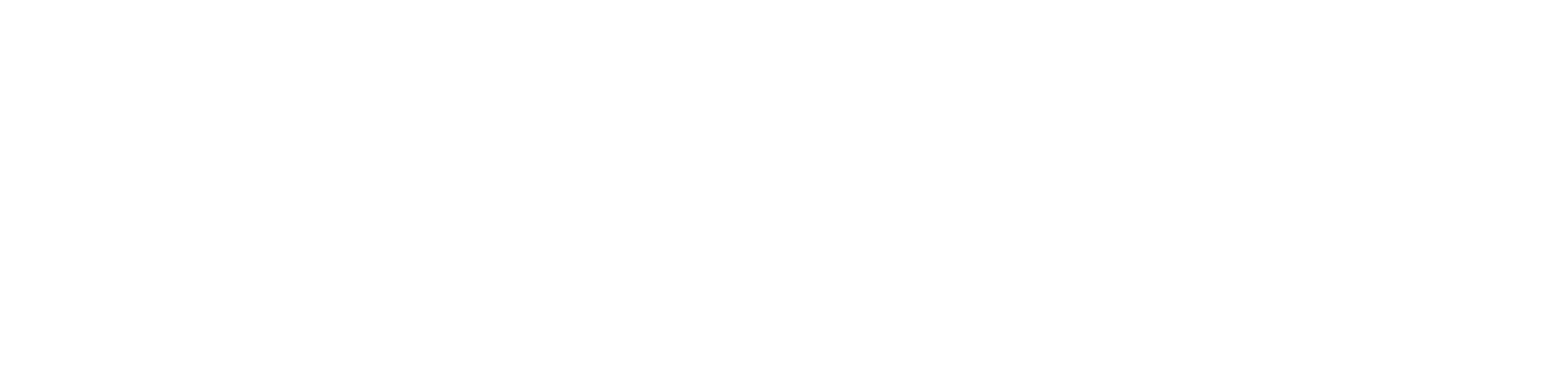 STQ_logo_Blanc